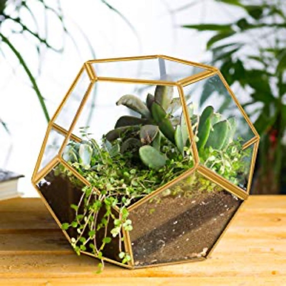 Meet your Posher, Candace